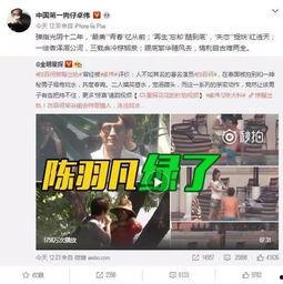 十三哥爆料郝振东视频播放,郝振东视频播放背后的惊人真相